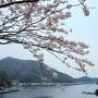 桜の伊根・天橋立と城崎温泉