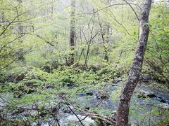 1時間くらいのハイキングで野鳥を観察しました。
素人目線ですが、川のそばが見れるっぽい