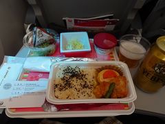 飛行機での移動