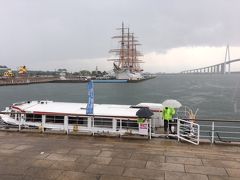 海王丸と新湊大橋、手前に遊覧船というベストの配置ですが、結構強い雨です。