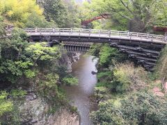 少し上流側にかけられた橋（新猿橋）から猿橋を見た所。
左側が木に隠れてしまって、全体が見えないのが残念。
