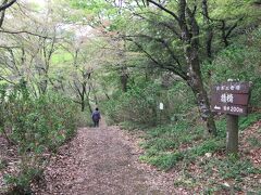 猿橋に続く林道。いい散歩道って感じです。
国道じゃなくて、こっちの道歩いて猿橋に来る人の方が多いんかな。