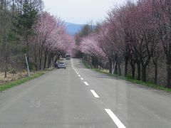 岩木山総合公園