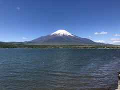 富士山の全貌が見たいのと、雄大さを感じたいのとで山中湖の長池親水公園へ。
逆さ富士は見られませんでしたが、とても満足しました！
子どもたちも「富士山は日本一やね！」と言いました。
これで私も満足(^▽^)/
「一日中、ここでぼーっとしてたいなあ」とお父さん。
本当にそう思いました。
