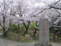 雨引山楽法寺(雨引観音)に到着。
実は、ここまでの登りがきついので自転車途中でおいてきています・・・