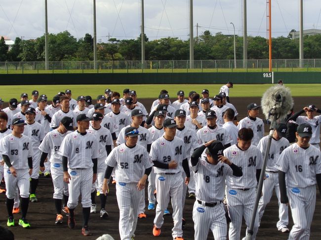 追っかけも来る！<br />経済効果が期待されます