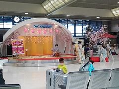 そんなこんなで、成田空港に到着。

空港第２ビル駅のJR改札を出て、右を見ても左を見ても空港につながるような通路がない…実は、目の前のもう一つの改札口を出ると空港だったのですが、改札を２回通る(Suicaを２回ピッとする、2回目は無料)のが初めてだとわかりにくく、駅員さんに聞いてしまいました。
外国人の方も迷ってうろうろしてたし、もっとわかりやすい表示をして欲しい…。

写真は、空港内でやっていた舞妓さんのイベント。空港ターミナル内は思ったより人が少なく、空いていました。