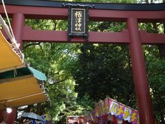 根津神社までやってきました。