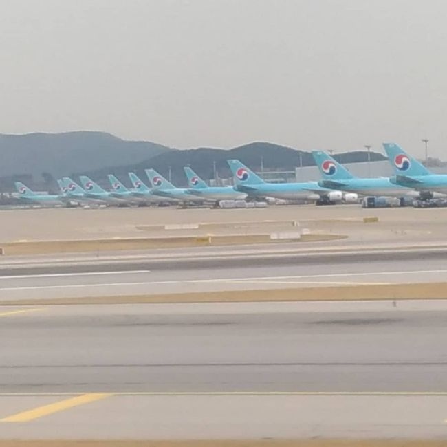 千歳空港から仁川空港へ。<br />綺麗に並んでいまーす。