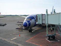 16：15の到着が早まり、16時前、ジャカルタに到着。
この時も、横から機体を撮ることができませんでした。残念！