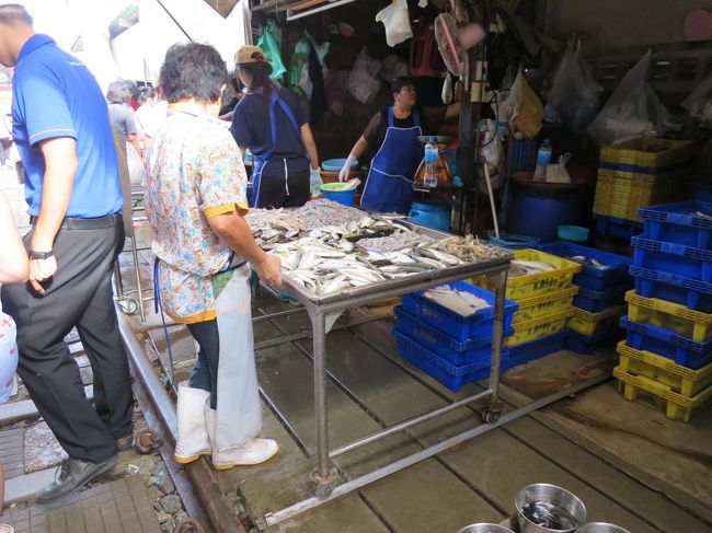 ワゴン出てきたよー