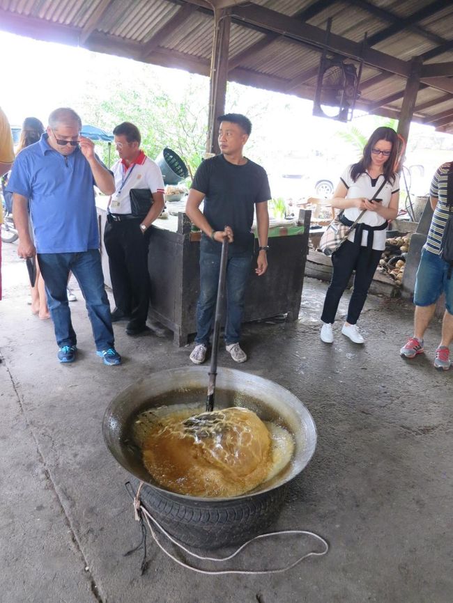 それから集合してバスに乗りココナッツファームに送り込まれる<br />ここでの再集合場所も、先程の駅もだけど、指定された場所と違うところにガイドが立ってて、いつのまにかその周辺に皆さん集合してるのよね。なんか不思議。