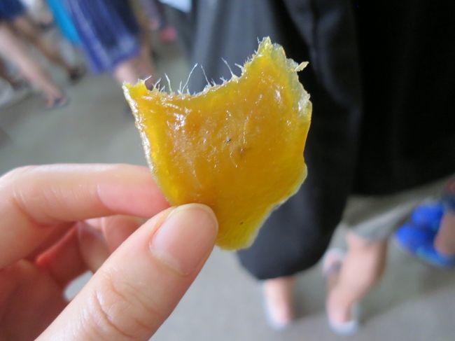 ガイドさんがくれた干しマンゴー<br />干し芋みたい