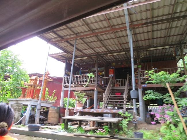 川沿いの生活が見られて面白い