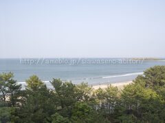 ホテルの部屋からー。
青島神社が見えまーす。