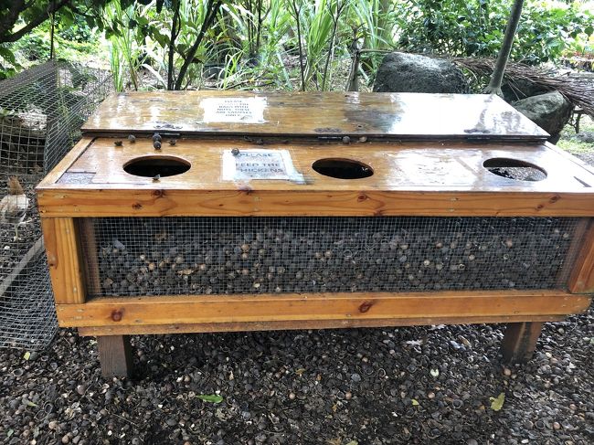 ここはトロピカルファームナッツ 。マカデミアナッツがこの箱に沢山入ってます。