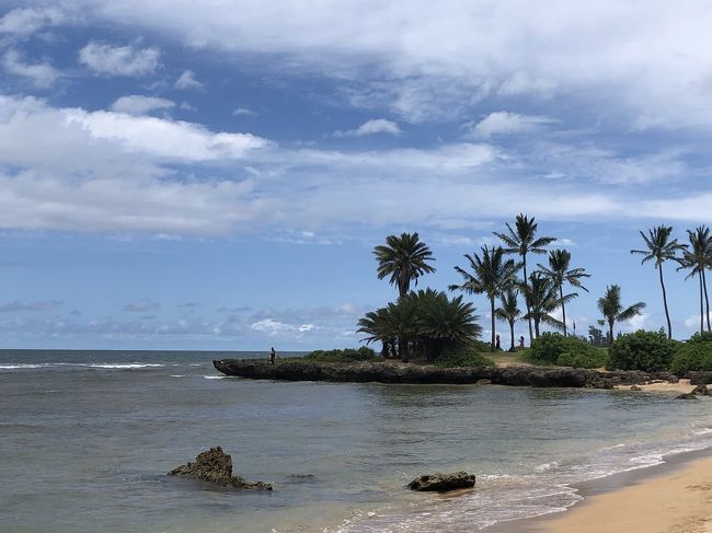 アリービーチ。75%の確立で亀ちゃん見えるそうだが海に中からの微かに頭見えたような～？<br />まあ景色良いしいいか。