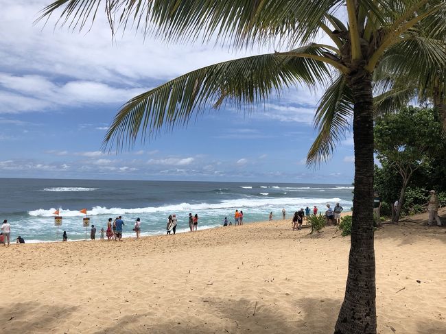 サンセットビーチ。サーフィンの試合が行われる所。こんなに波あるけどこれは全然だそうです。