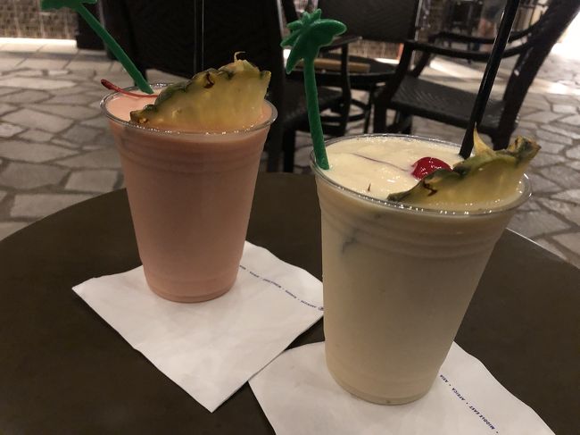 飲めない私達。ノンアルコールで乾杯。<br />4日目終了。この辺りから急速に時間が経つのが早くなっていきます。<br />後半になってしまいました。