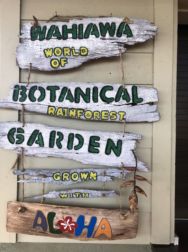 お次はワヒアワ植物園。色んな植物見れました。