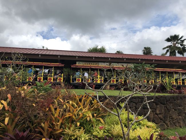 乗らなかったけどトロッコ電車～