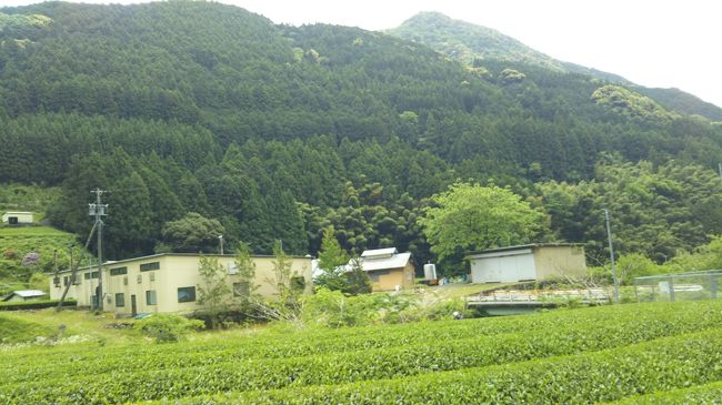 古民家を訪ねて 興津川上流へドライブの旅に行く 清水 静岡県 の旅行記 ブログ By 風 魔さん フォートラベル