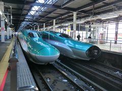 E5系が並んでいます。

右の列車は、はやぶさ24号.東京行です。
口を開けていますね。
盛岡で秋田新幹線と併結運転となります。
では、連結の儀(単に眺めるだけ)に参列しましょう。