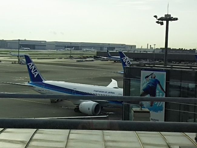 今回はANAさんじゃないのです。