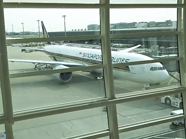 今日乗る飛行機を見るとワクワクしてきます。<br />SQは搭乗ゲートでクラス別に並んで搭乗するんですね。<br />