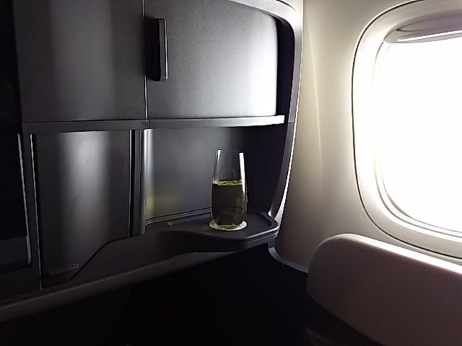 スパークリングワインいただきました(๑>؂<๑)<br />大型モニターで日本の映画見て過ごしました。<br />コントロール、慣れてなくて使いづらかったです。タッチパネルじゃなかったのかな。<br /><br />お昼ごはん。お魚をいただきました。