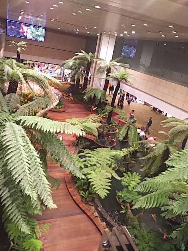 チャンギ空港が混雑だとかでしばらく旋回して到着。久しぶりのチャンギ空港。<br />ターミナル移動もわかりやすくデンパサール行きに乗ります。