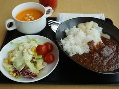 まずは、ラウンジで腹ごしらえ。
ここのカレーはいつ食べてもおいしいですね。
スープストックのスープもお気に入りです。