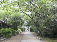 移動して、江田神社へ。

伊弉諾、伊弉冉尊が禊をした池が有名なようです。
