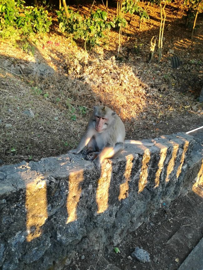 ハイパーマートで薬とお土産を買ったあとはウルワツ寺院に夕日を見に行きました。