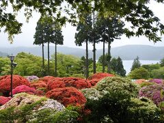 本日の宿は、芦ノ湖畔に建つ小田急山のホテル。
目的は「つつじ・しゃくなげフェア2018」を楽しむこと。