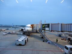 今回は，全日空で上海まで行きます。短い休暇だったので，近場を観光します。
大分早く計画をしていたので，全日空のホームページからビジネスクラスを安い金額で予約をすることができました。