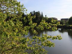 ホテルまでぶらぶら歩きます。

お天気もよく癒されます。