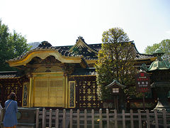 上野東照宮は金色できらびやかでした。
上野は何度も来ていますが、東照宮は初めてかもしれない。