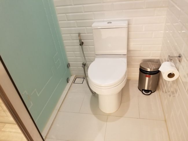 トイレです。<br /><br />洗浄機付きでは無いですが、手動式シャワーがあります。