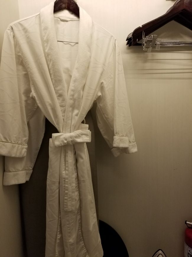クロークの中にはバスローブやアイロンなどがありました。