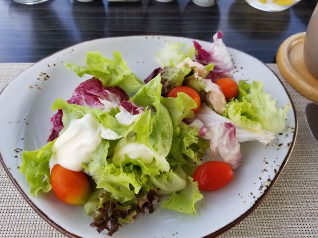 サラダを取ってきました。<br /><br />シャキシャキで美味しい。<br />なまものですが、全く大丈夫でしたよ。