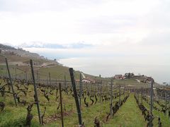 世界遺産「ラヴォー地区の葡萄畑/ Lavaux, Vineyard Terraces」