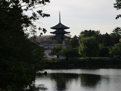 お腹が空きました。

興福寺を見ながら今日の食事処に向かいます。