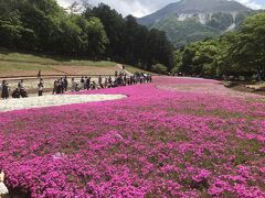 一部のみしか芝桜残ってませんでしたがとっても綺麗でした！お天気も良かったので周りの山々の絶景とのコラボ良かったです！
次回は満開のときに訪れたたいです！