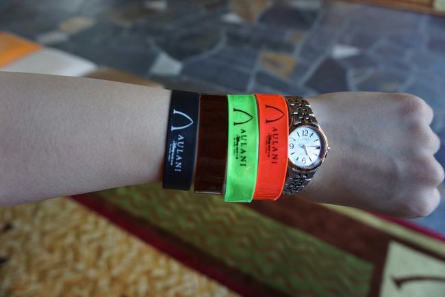 毎日違う色のバンドです<br />毎朝腕に付けてもらいタオルが貰えたり<br />宿泊者のステータスです