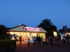 食事の後は徒歩でぐらんぱる公園へ。
昼夜入替制です。昼も夜も遊びたい方はそれぞれ入場料金を払う必要があります。

当日料金（1500円）より安い前売券をセブンイレブンで購入して行きました。ペア券2500円（大人２人分）にもう１人分1300円を買い足して。

立体験型イルミネーションと謳っている「グランイルミ3rdシーズン」
開催期間は　2017 年11 月11 日（土）～2018 年8月（予定）　
600万球のLEDが使われているそうです。