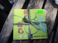 そして平宗さんで柿の葉寿司を購入

4トラのTaxNaXさん、河内温泉大学名誉教授さんご推薦いただきましてありがとうございます！


