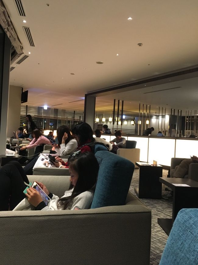 嬉しくてずっとiPadばかり´д` ;