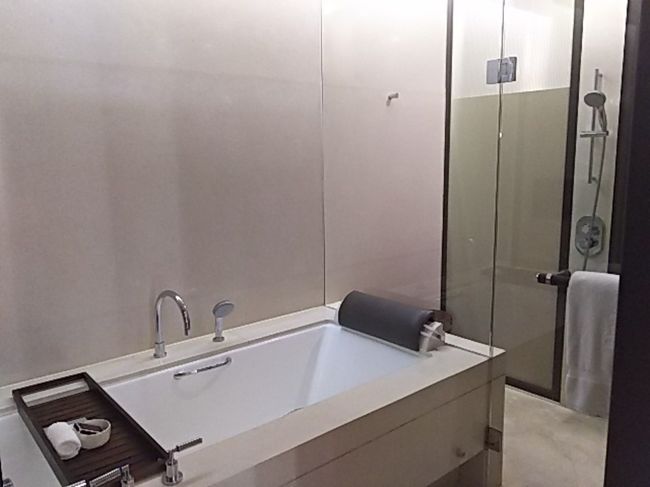 バスタブの奥にシャワールーム。<br />シャワールームにはイスもあって年配者にはありがたいです。<br />お風呂に入り長旅お疲れ様  おやすみなさい。