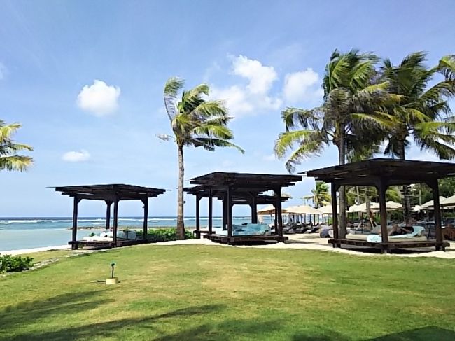 屋根付きのチェアが空いてました。<br />ラッキーヽ(*´∀｀)ノ<br />風が心地好く吹いてます。